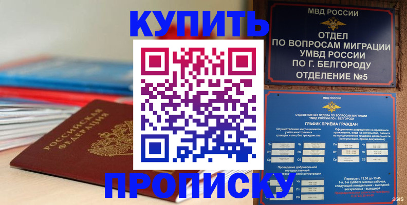 прописка для работы в Апатитах